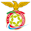 FC RM Hamm Benfica Logo