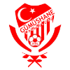Gümüshanespor Logo
