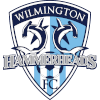 Wilmington Hammerheads Logo