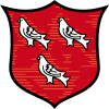 Dundalk FC Logo