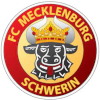 FC Mecklenburg Schwerin Logo