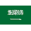 Saudi-Arabien Logo