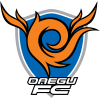 FC Daegu Logo