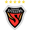Pohang Steelers Logo