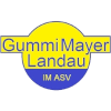 ASV Gummi-Mayer Landau Logo