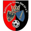 Ballfreunde Essen Süd Logo