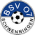 BSV 07 Schwenningen Logo