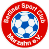 BSV Spindlersfeld Logo