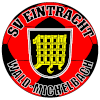 Eintracht Wald-Michelbach Logo