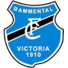 FC Bammental Logo