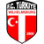FC Türkiye Wilhelmsburg Logo