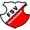 FSV Hemmersdorf Logo
