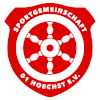 SG Hoechst Logo