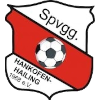 SpVgg Hankofen-Hailing Logo