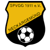 SpVgg Neckargemünd Logo