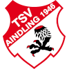 TSV Aindling Logo