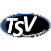 TSV Emmelshausen Logo
