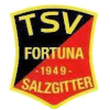 TSV Fortuna Salzgitter Logo