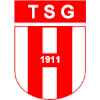 TSG Fussball Herdecke 1911 Logo