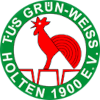 TuS Grün-Weiß Holten 1900 Logo