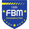 Fenerbahce Istanbul Marl Logo